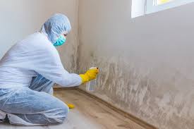 Best Mold Removal for HVAC Installations in Santa Barbara, CA