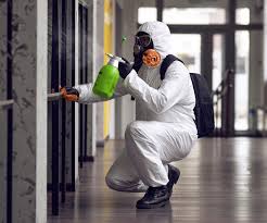 Why You Should Choose Our Mold Remediation Services in Santa Barbara, CA